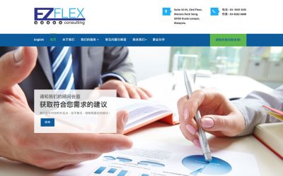 EZ FLEX CONSULTING 金融咨询公司